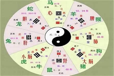 中五行|五行汉字属性查询